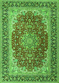 Medallion Green Traditional Rug, tr4641grn