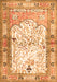 Animal Orange Traditional Rug, tr4643org