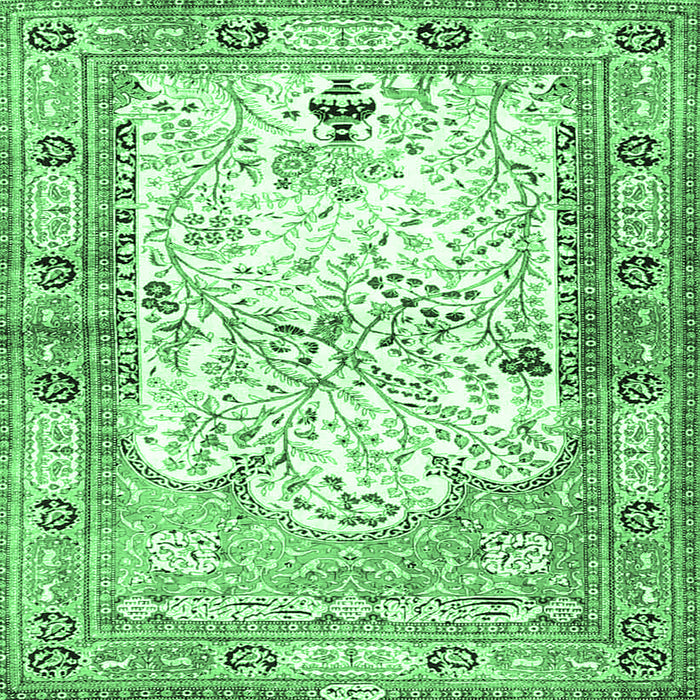 Square Machine Washable Animal Emerald Green Traditional Area Rugs, wshtr4643emgrn