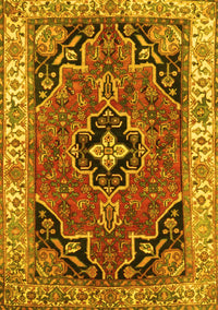 Oriental Yellow Traditional Rug, tr4651yw