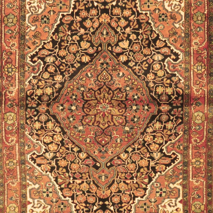 Machine Washable Medallion Brown Traditional Rug, wshtr4652brn