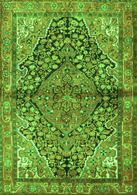 Medallion Green Traditional Rug, tr4652grn