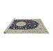 Sideview of Machine Washable Traditional Gray Rug, wshtr4666