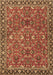 Oriental Brown Traditional Rug, tr4667brn