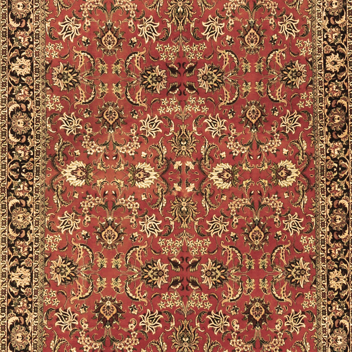 Oriental Brown Traditional Rug, tr4667brn