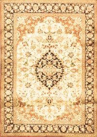 Medallion Brown Traditional Rug, tr4669brn