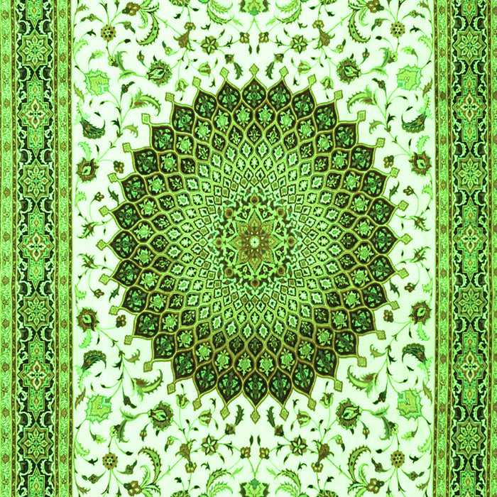 Medallion Green Traditional Rug, tr4672grn