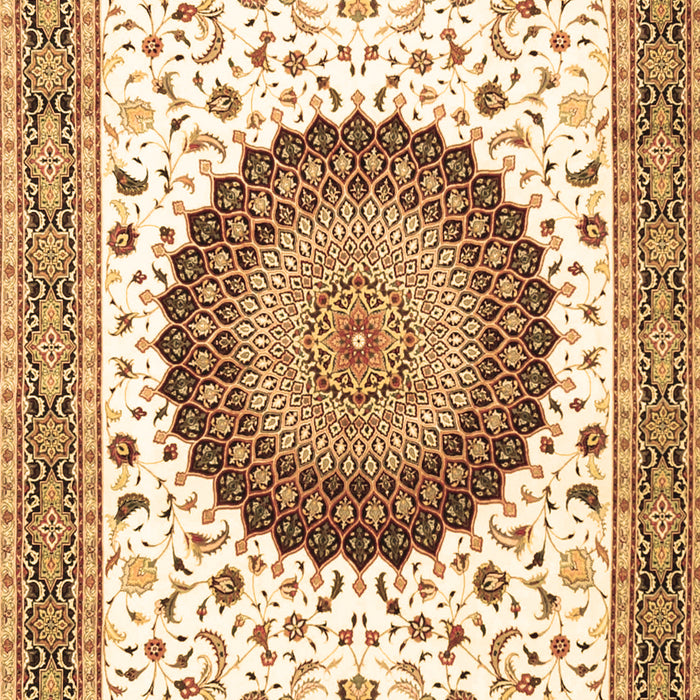Medallion Brown Traditional Rug, tr4672brn