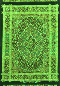 Persian Green Traditional Rug, tr4675grn