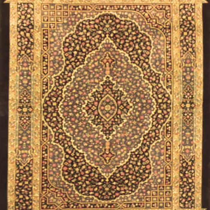 Machine Washable Persian Brown Traditional Rug, wshtr4675brn