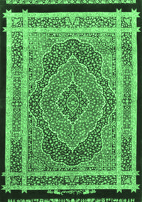 Persian Emerald Green Traditional Rug, tr4675emgrn