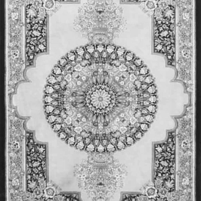 Persian Gray Traditional Rug, tr4676gry