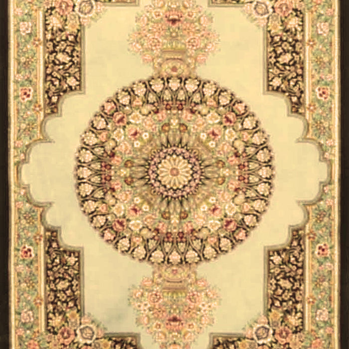 Persian Brown Traditional Rug, tr4676brn