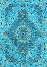 Medallion Light Blue Traditional Rug, tr4677lblu