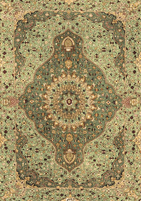 Medallion Brown Traditional Rug, tr4677brn