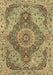 Medallion Brown Traditional Rug, tr4677brn