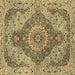 Square Machine Washable Medallion Brown Traditional Rug, wshtr4677brn