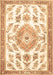 Machine Washable Medallion Brown Traditional Rug, wshtr4680brn