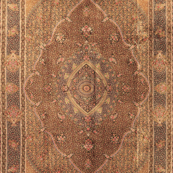 Medallion Brown Traditional Rug, tr4683brn