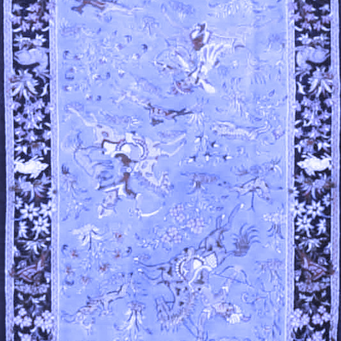 Machine Washable Animal Blue Traditional Rug, wshtr4684blu
