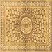 Square Machine Washable Persian Brown Traditional Rug, wshtr4688brn