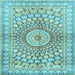 Square Persian Light Blue Traditional Rug, tr4688lblu