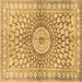 Square Persian Brown Traditional Rug, tr4688brn