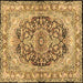 Square Machine Washable Persian Brown Traditional Rug, wshtr4689brn