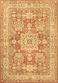 Medallion Brown Traditional Rug, tr4690brn