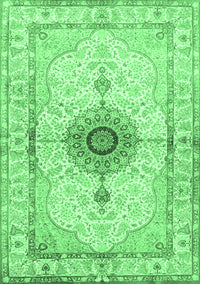 Medallion Emerald Green Traditional Rug, tr4691emgrn