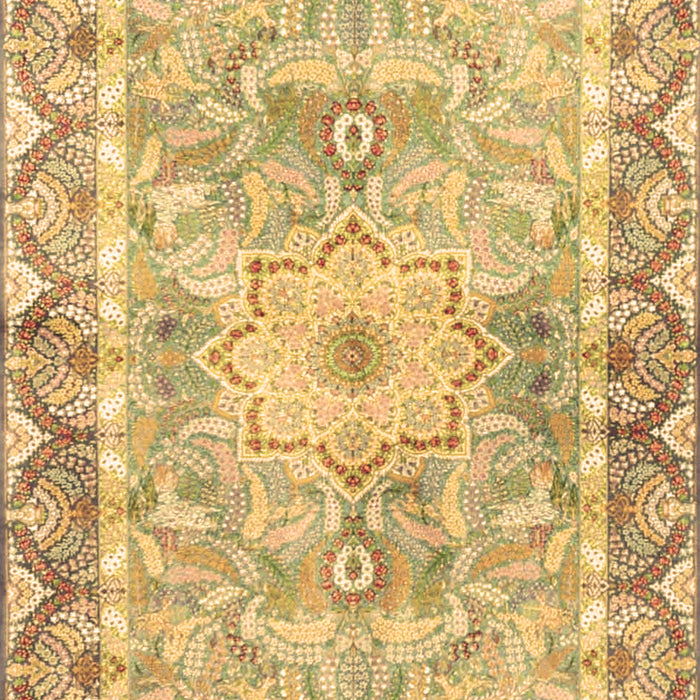 Medallion Brown Traditional Rug, tr4692brn