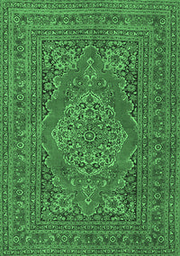 Medallion Emerald Green Traditional Rug, tr4710emgrn