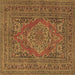 Square Medallion Brown Traditional Rug, tr4710brn