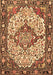 Machine Washable Medallion Brown Traditional Rug, wshtr4711brn