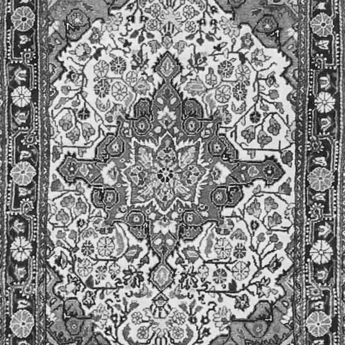 Medallion Gray Traditional Rug, tr4711gry