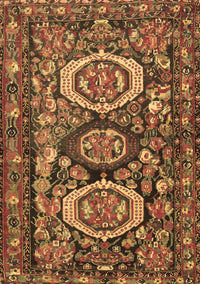 Medallion Brown Traditional Rug, tr4712brn