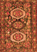 Medallion Orange Traditional Rug, tr4712org