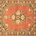 Square Machine Washable Persian Brown Traditional Rug, wshtr4715brn