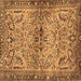 Square Persian Brown Traditional Rug, tr4718brn