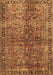 Machine Washable Oriental Brown Traditional Rug, wshtr4719brn