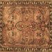 Square Persian Brown Traditional Rug, tr4720brn