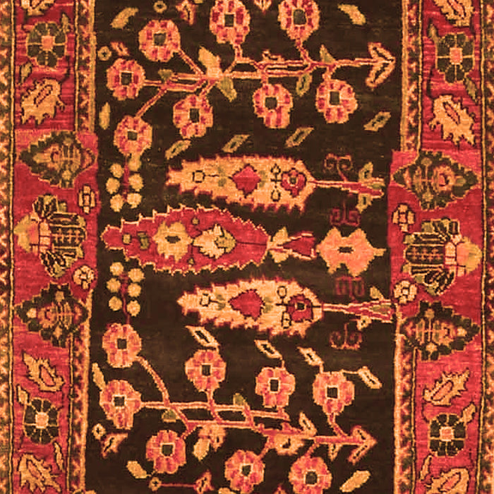 Serging Thickness of Machine Washable Animal Orange Traditional Area Rugs, wshtr4724org