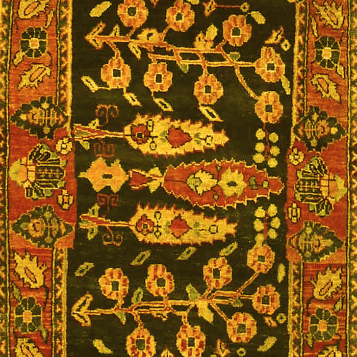 Animal Yellow Traditional Rug, tr4724yw