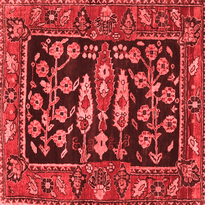 Machine Washable Animal Red Traditional Rug, wshtr4724red