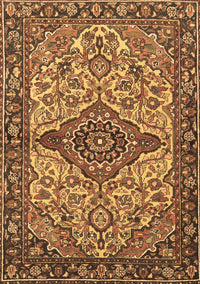 Medallion Brown Traditional Rug, tr4725brn