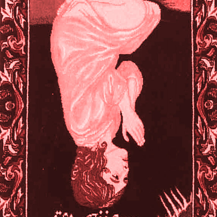 Persian Red Traditional Area Rugs