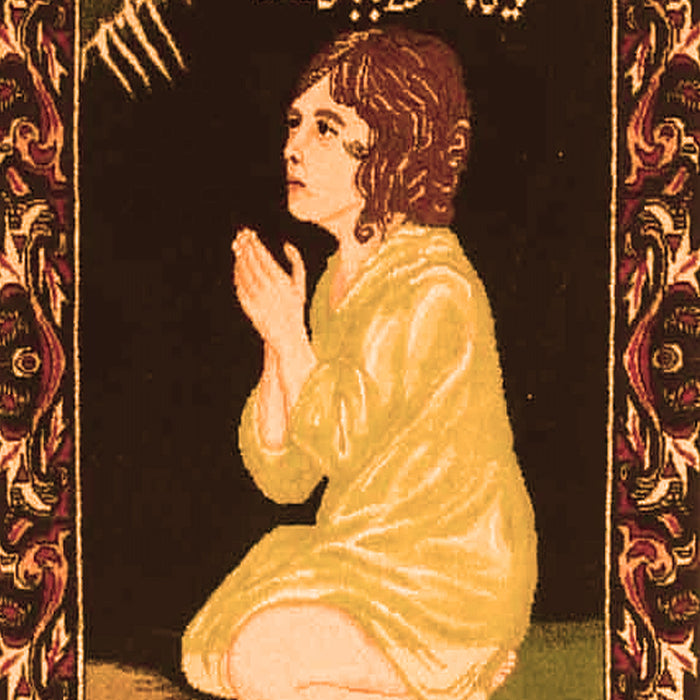 Persian Orange Traditional Rug, tr4728org