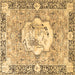 Square Persian Brown Traditional Rug, tr4731brn