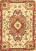 Persian Brown Traditional Rug, tr4741brn