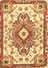 Machine Washable Persian Brown Traditional Rug, wshtr4741brn